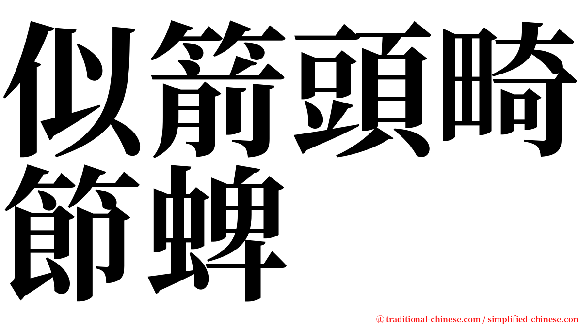 似箭頭畸節蜱 serif font