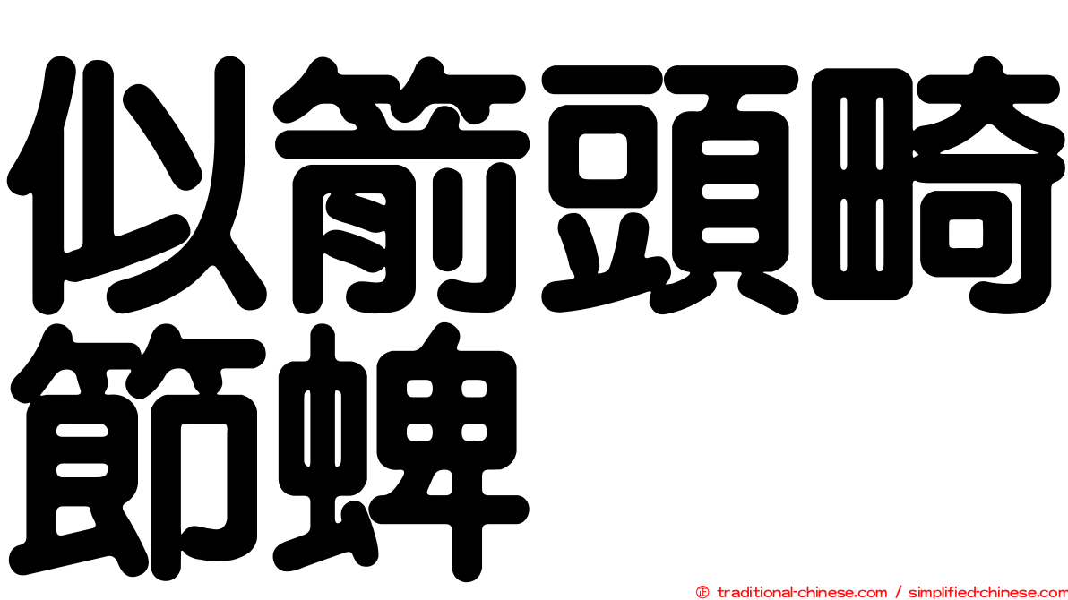 似箭頭畸節蜱