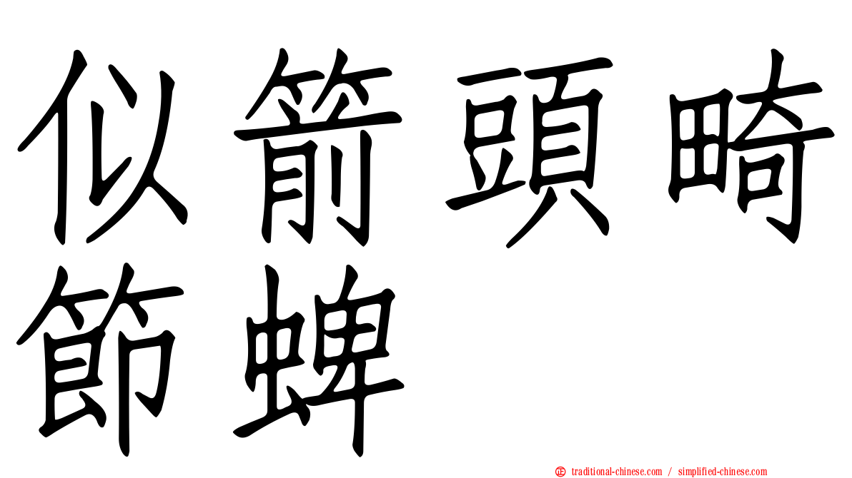 似箭頭畸節蜱