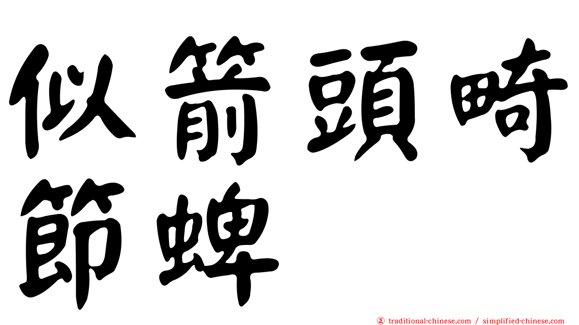 似箭頭畸節蜱
