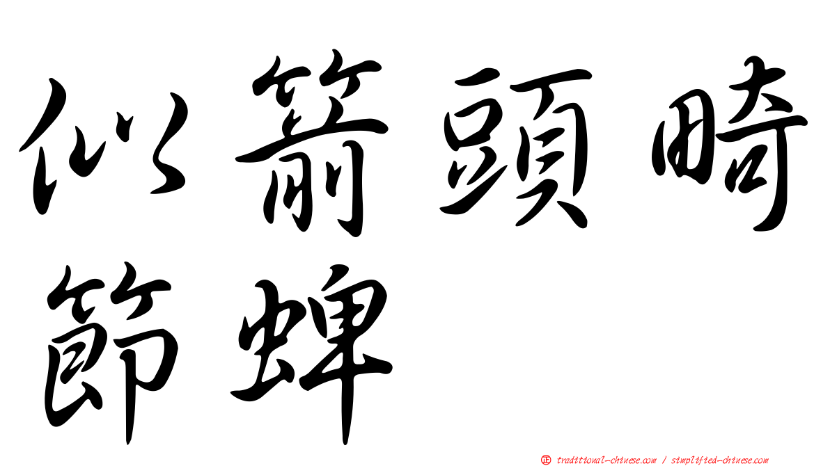 似箭頭畸節蜱