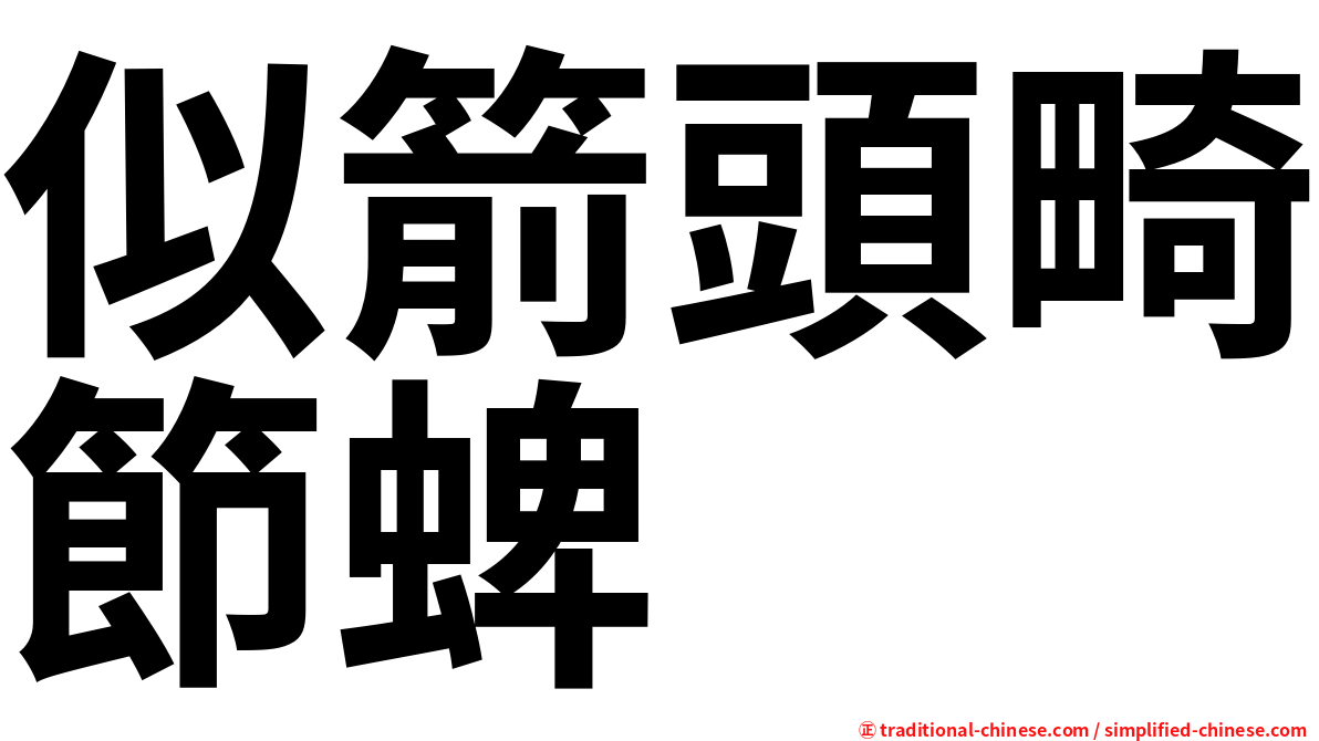似箭頭畸節蜱