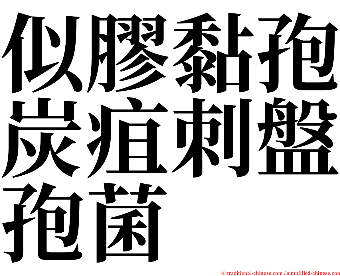 似膠黏孢炭疽刺盤孢菌 serif font