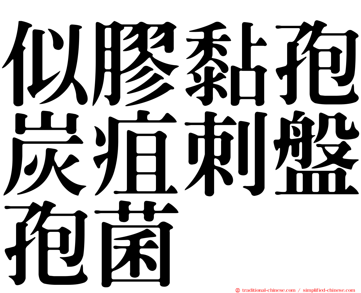 似膠黏孢炭疽刺盤孢菌