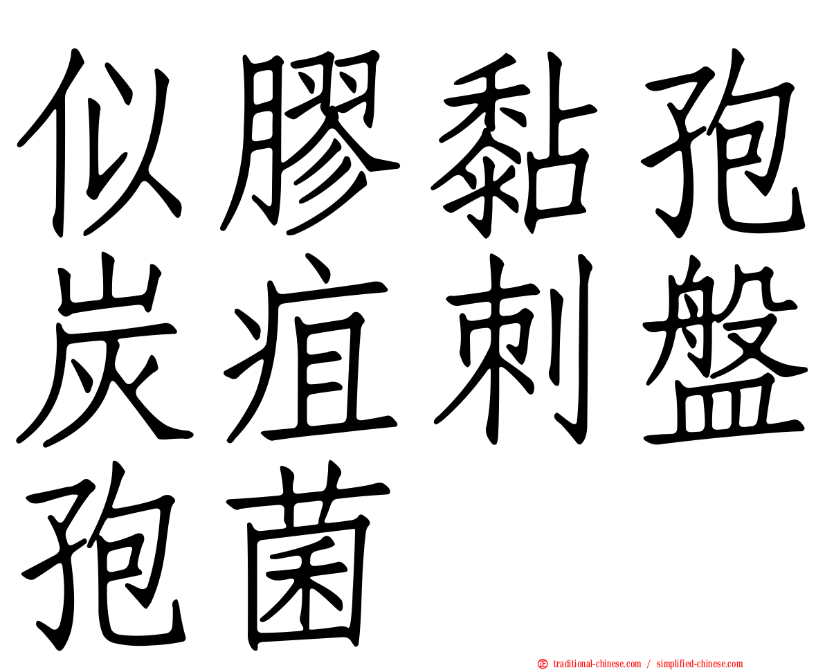 似膠黏孢炭疽刺盤孢菌