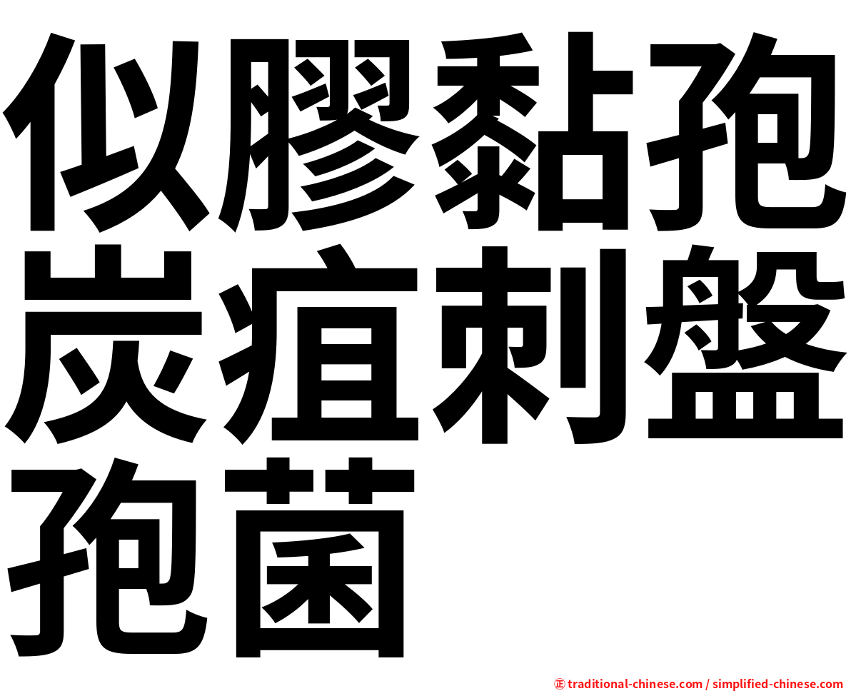 似膠黏孢炭疽刺盤孢菌