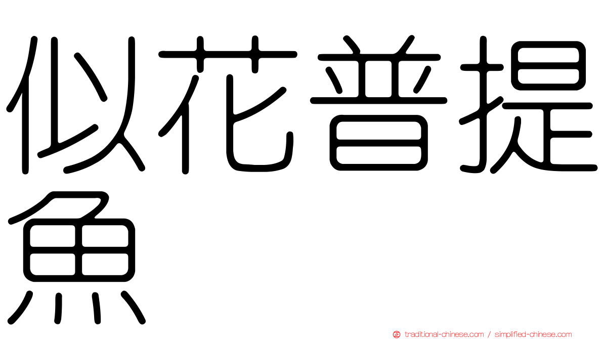 似花普提魚