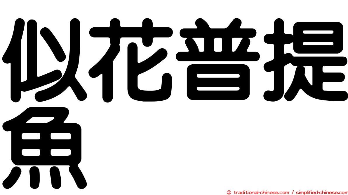似花普提魚
