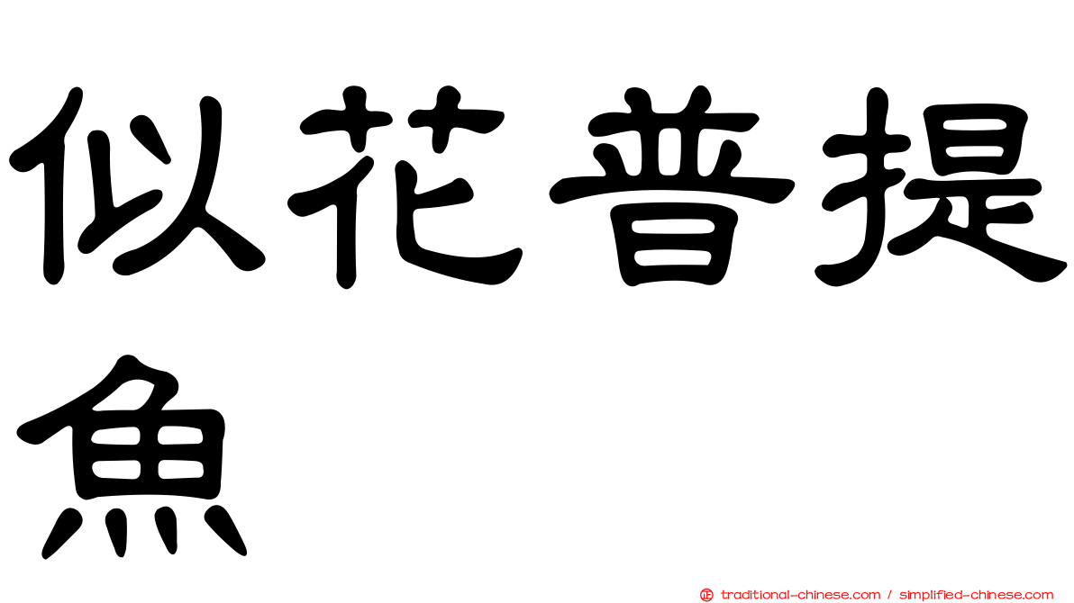 似花普提魚