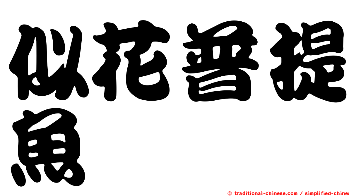 似花普提魚