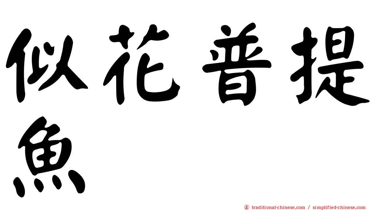 似花普提魚