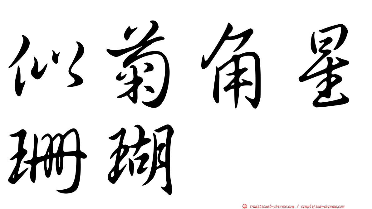 似菊角星珊瑚
