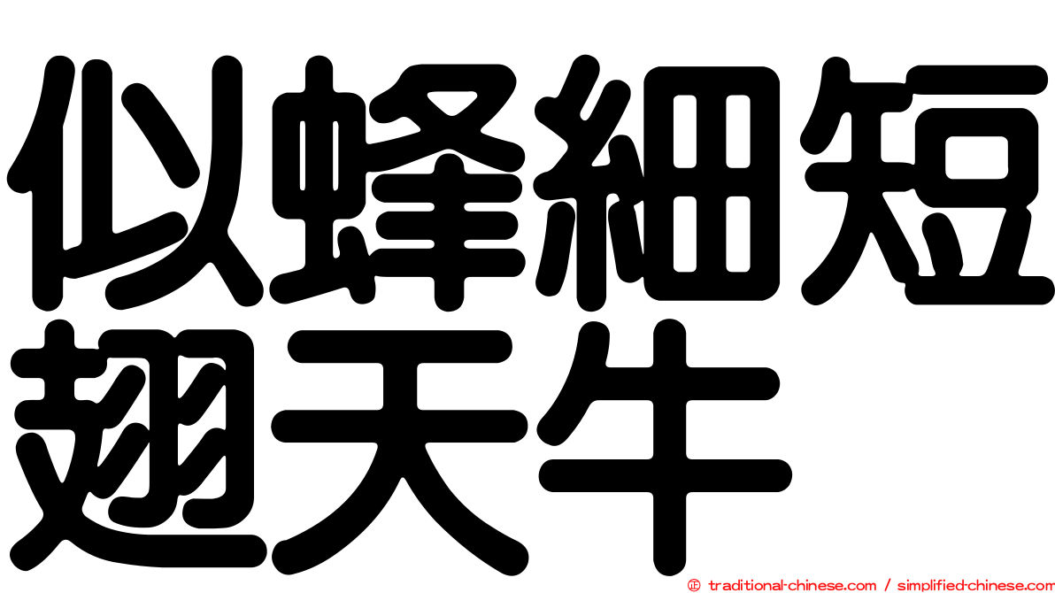 似蜂細短翅天牛