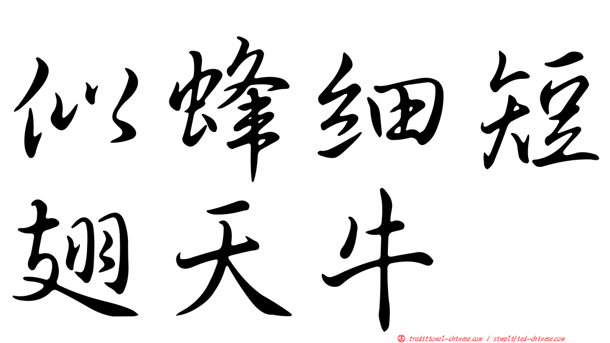 似蜂細短翅天牛