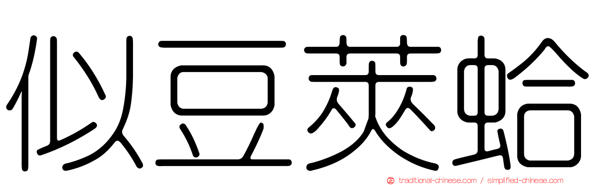 似豆莢蛤