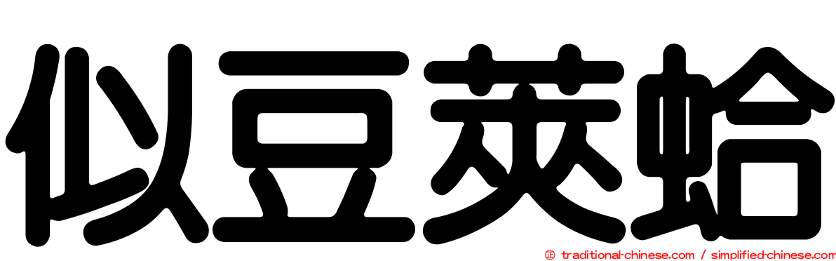 似豆莢蛤