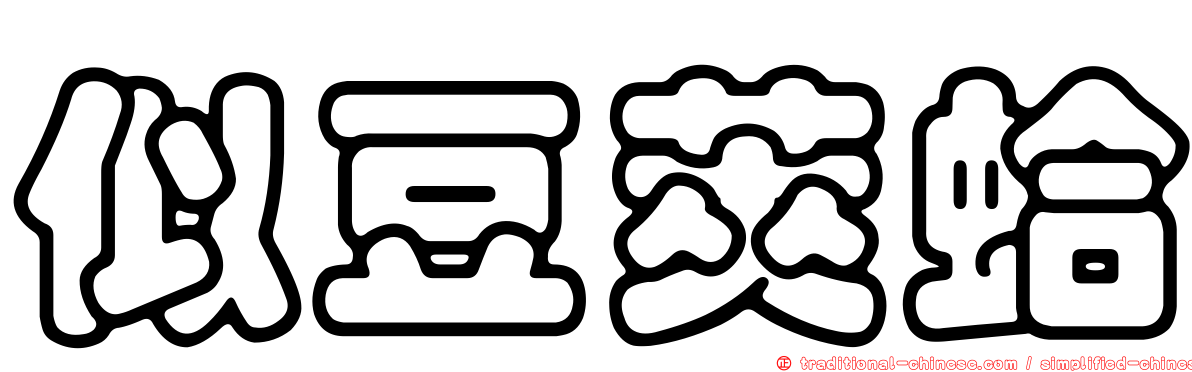 似豆莢蛤