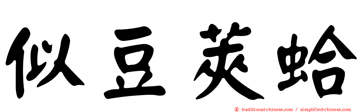 似豆莢蛤