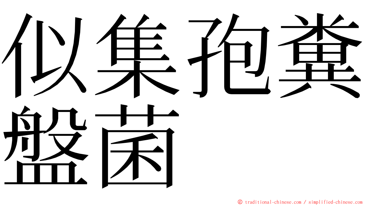 似集孢糞盤菌 ming font