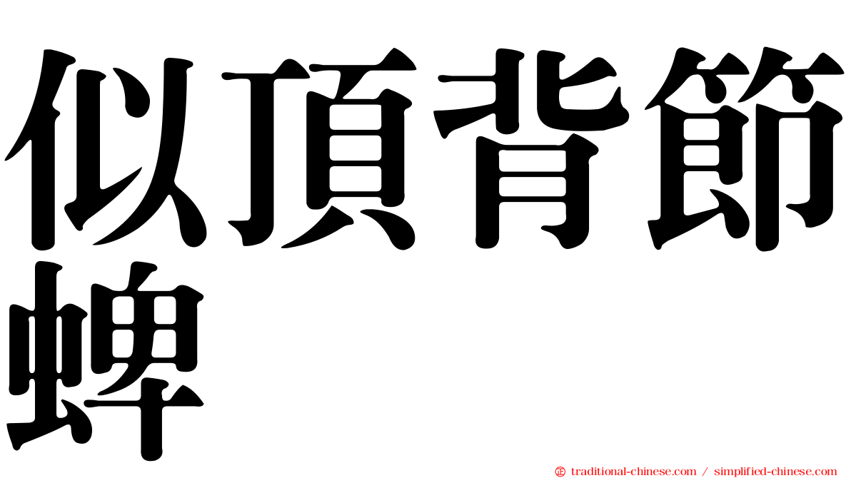 似頂背節蜱