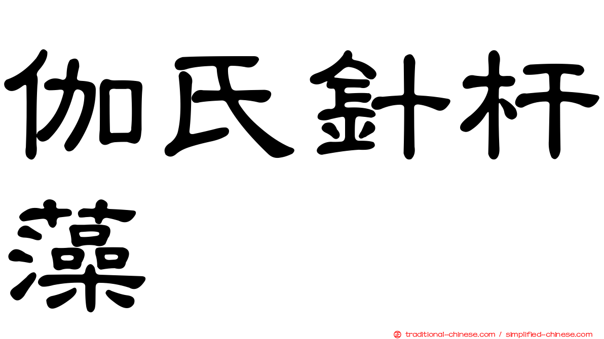 伽氏針杆藻