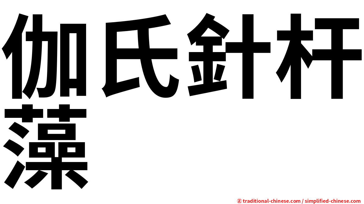 伽氏針杆藻