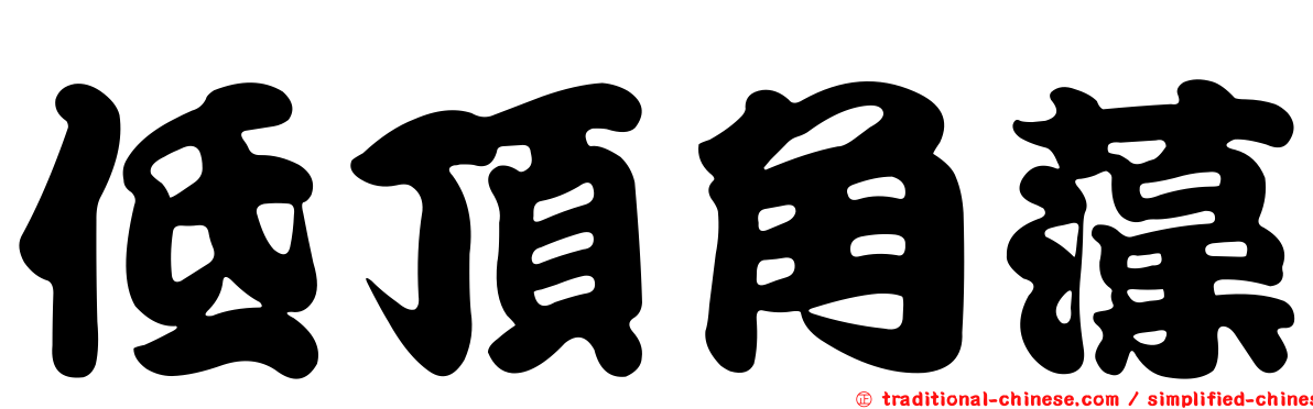 低頂角藻