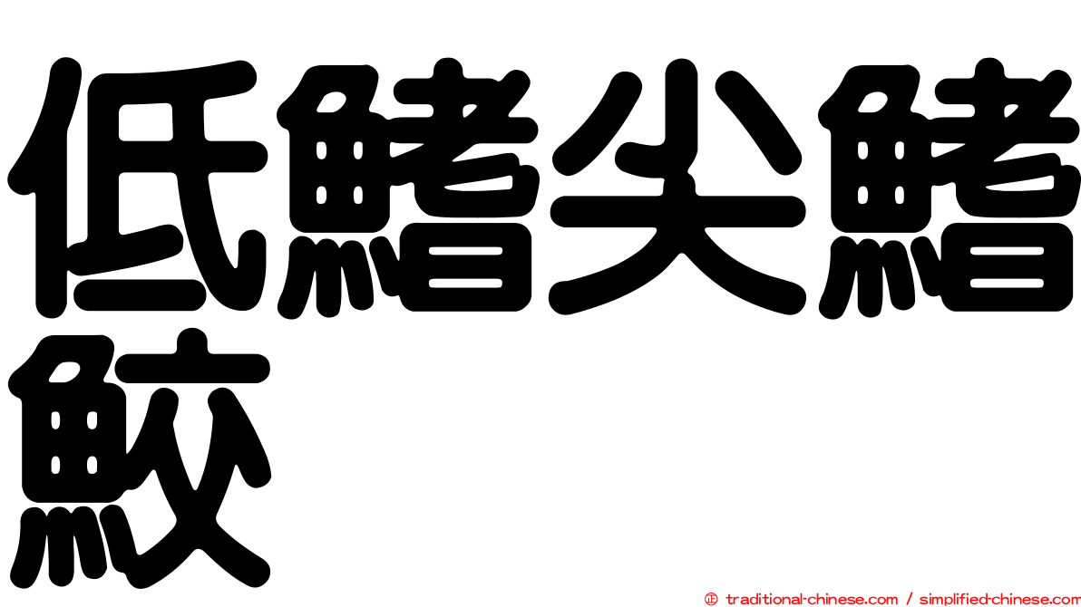 低鰭尖鰭鮫