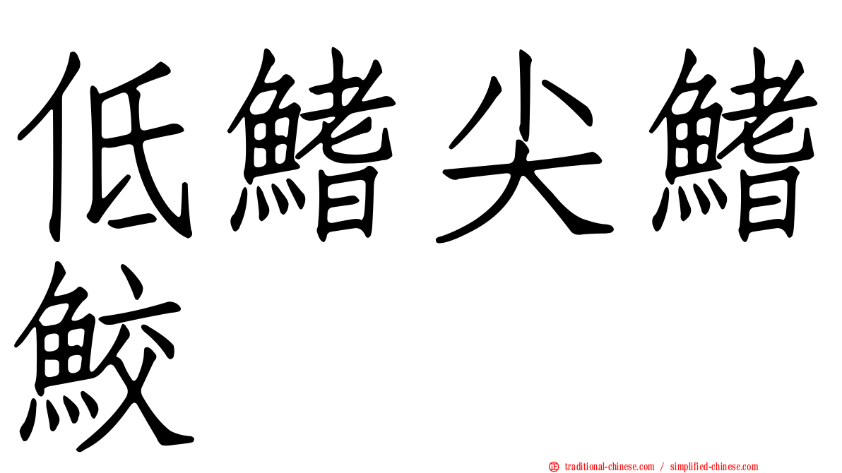 低鰭尖鰭鮫