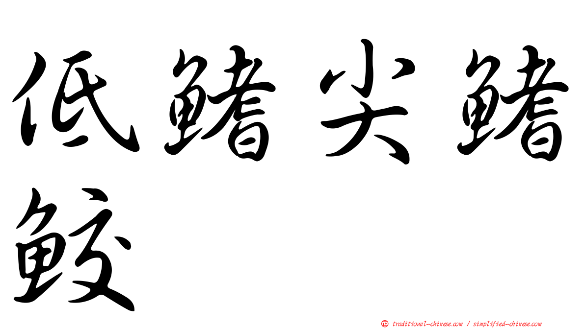 低鰭尖鰭鮫