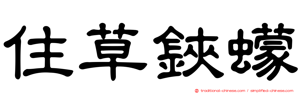 住草鋏蠓