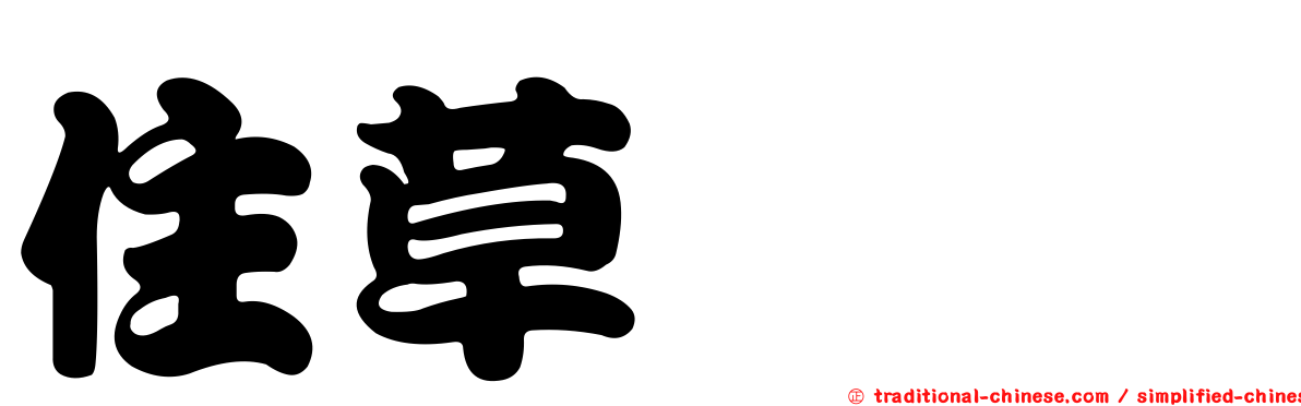 住草鋏蠓