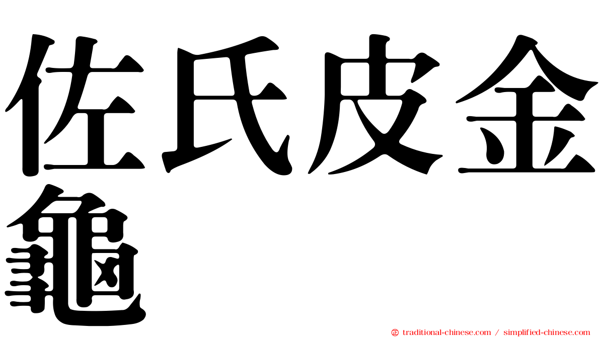 佐氏皮金龜