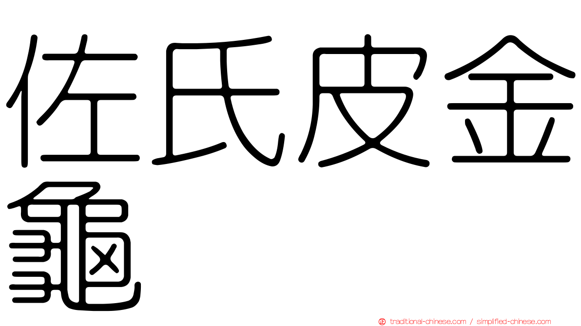佐氏皮金龜