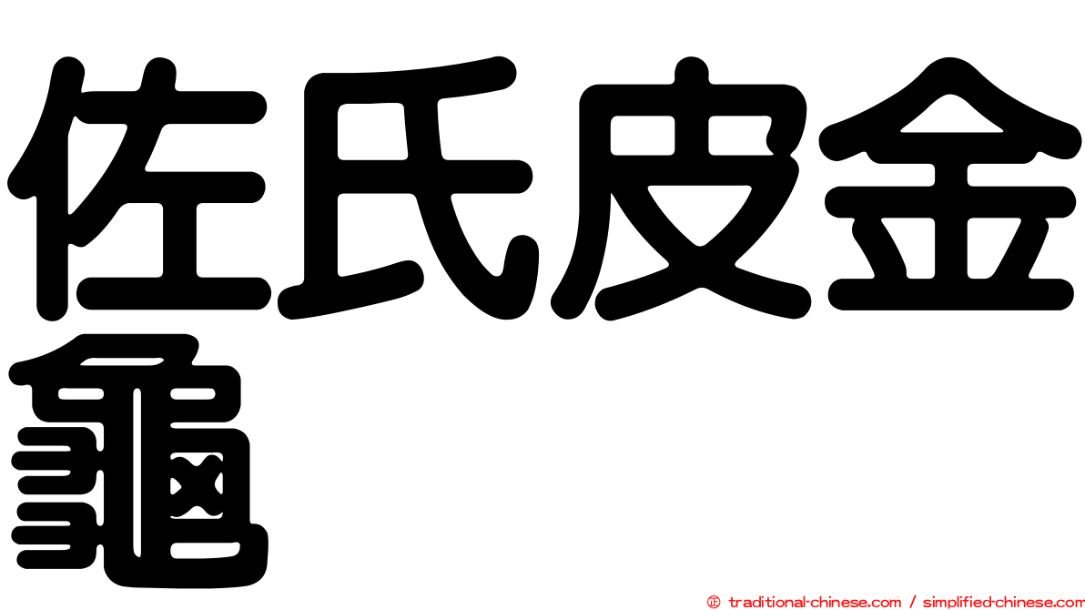 佐氏皮金龜