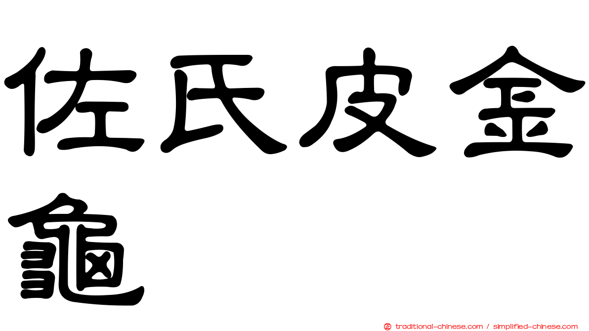 佐氏皮金龜