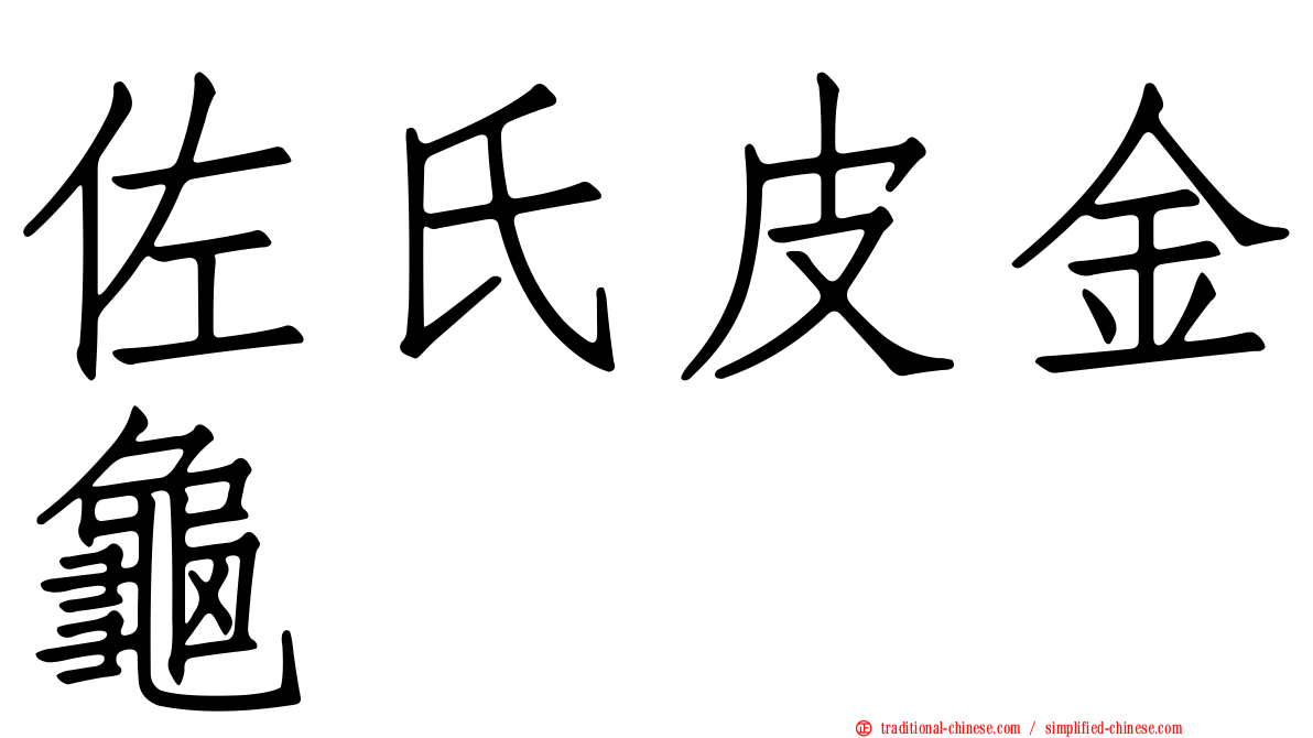 佐氏皮金龜