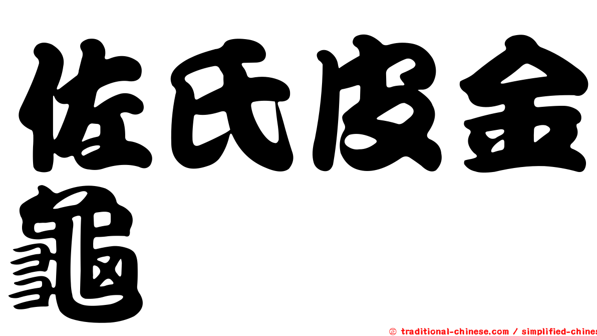 佐氏皮金龜