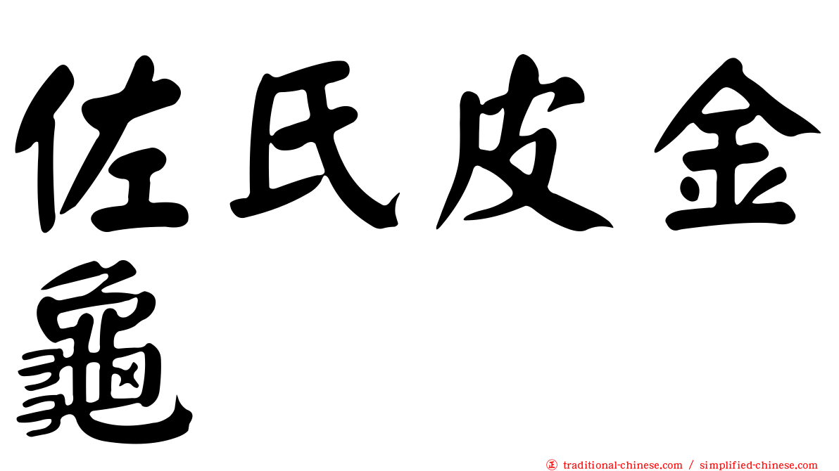 佐氏皮金龜