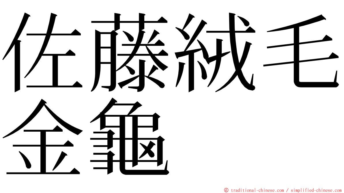 佐藤絨毛金龜 ming font