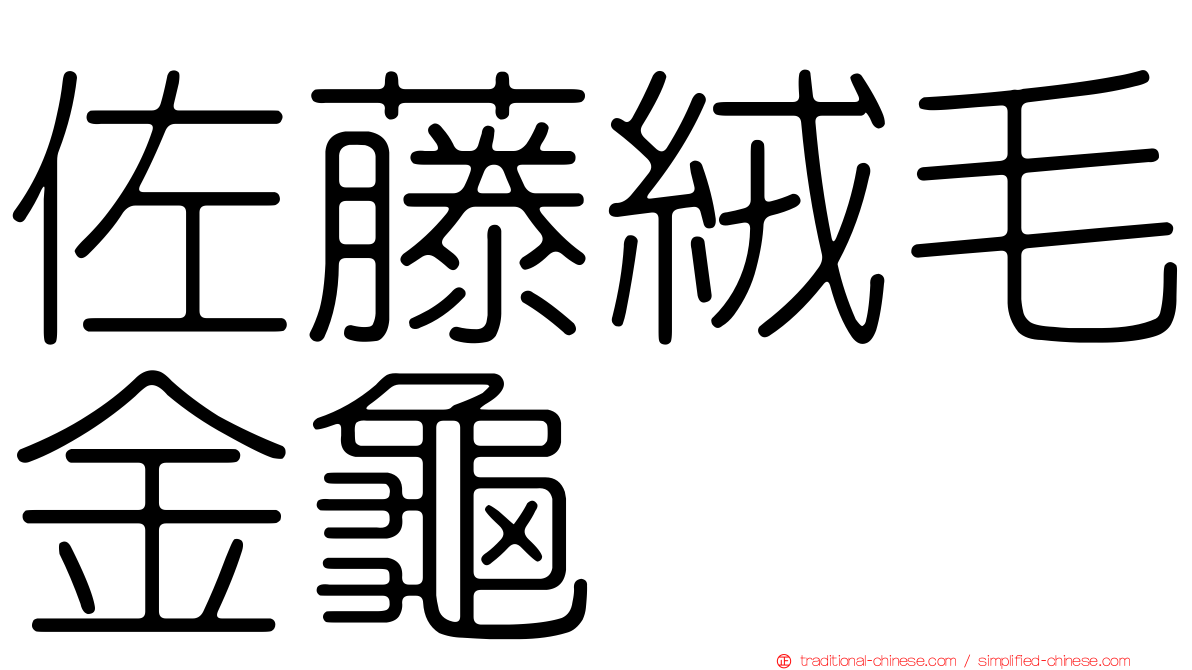 佐藤絨毛金龜