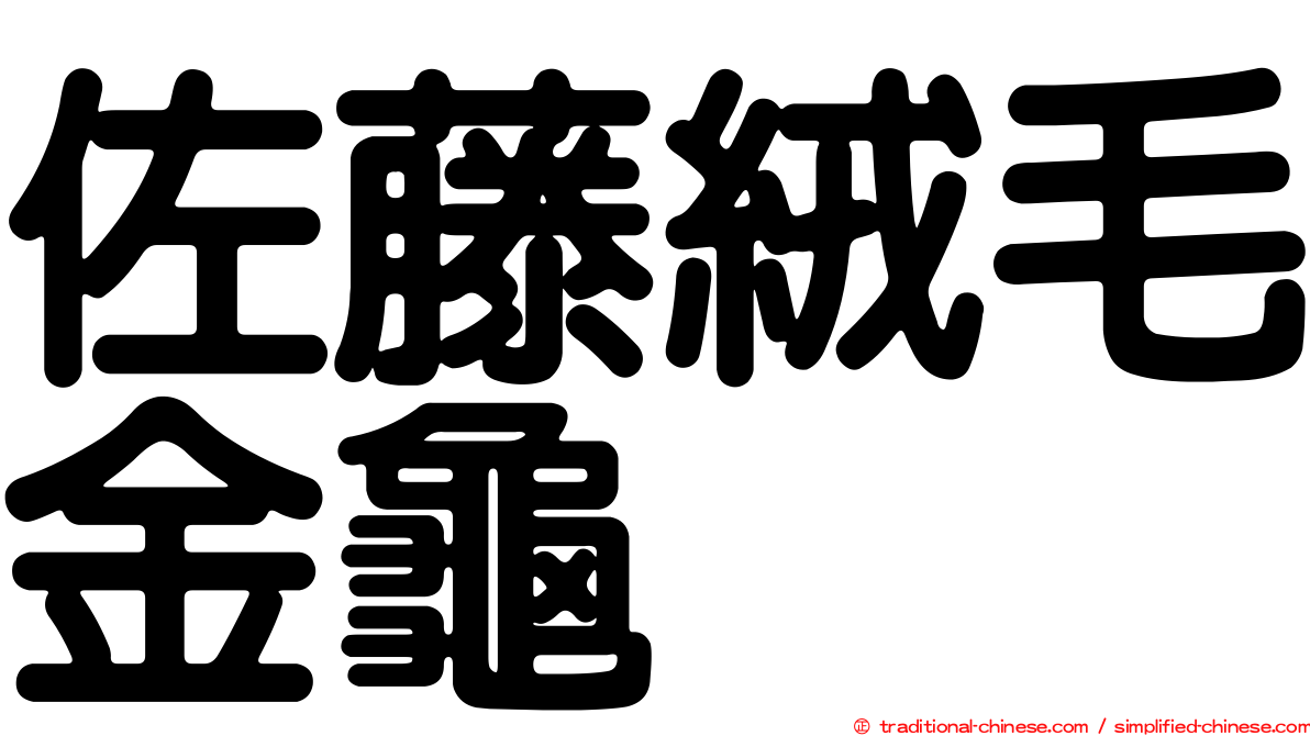 佐藤絨毛金龜