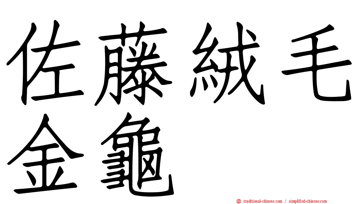 佐藤絨毛金龜