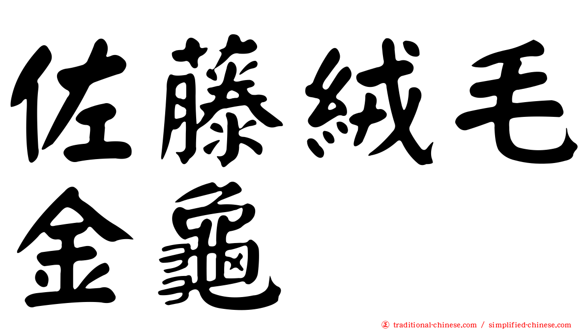 佐藤絨毛金龜