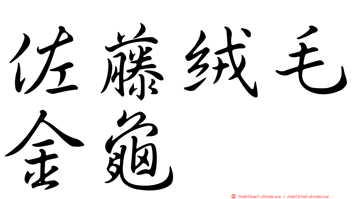 佐藤絨毛金龜
