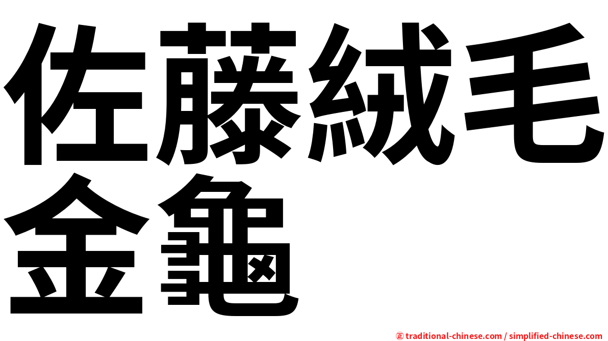 佐藤絨毛金龜
