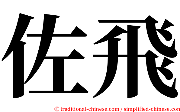 佐飛 serif font