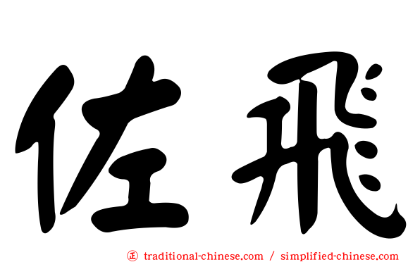 佐飛