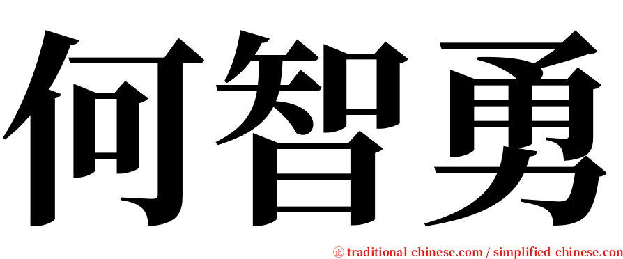 何智勇 serif font