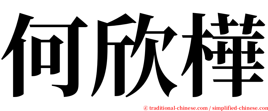 何欣樺 serif font